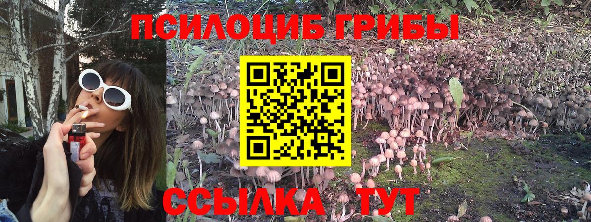 Артём  Псилоцибиновые грибы Cubensis  Псилоцибиновые грибы GOLDEN TEACHER  Вход с VPN 